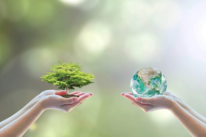 We protect the earth